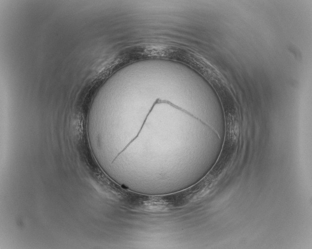 X0000116060603200912041855