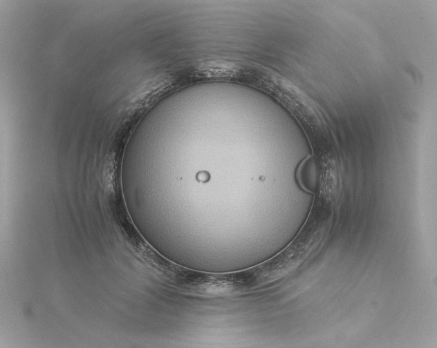 X0000116060604200912041855