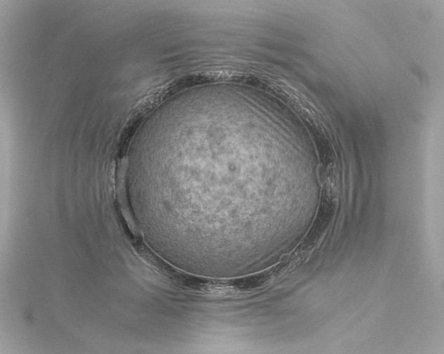 X0000116060605200912041855