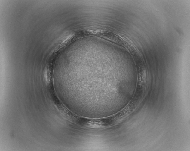 X0000116060606200912041855