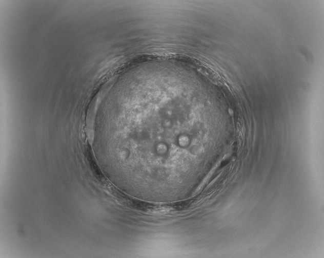 X0000116060609200912041855