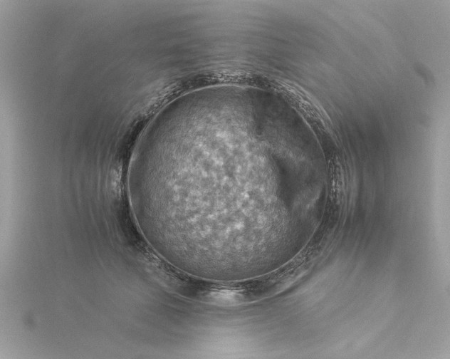 X0000116060610200912041855