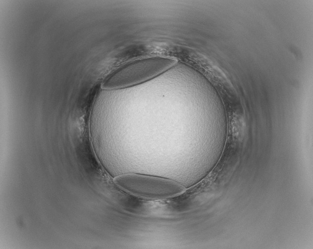 X0000116060611200912041855