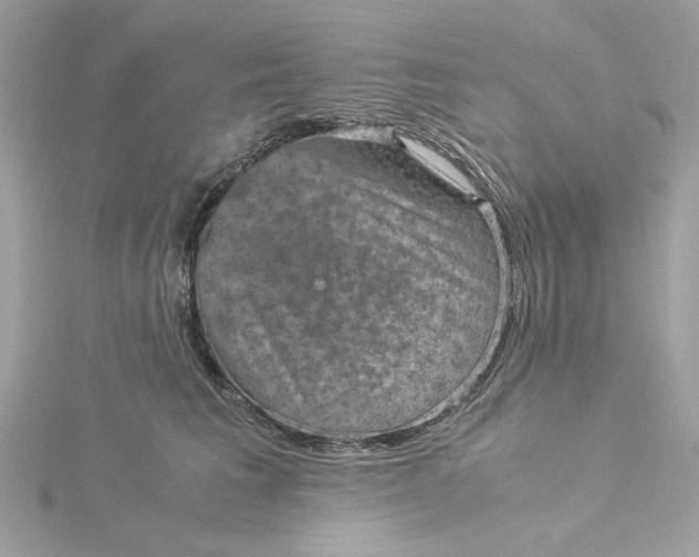 X0000116060613200912041855