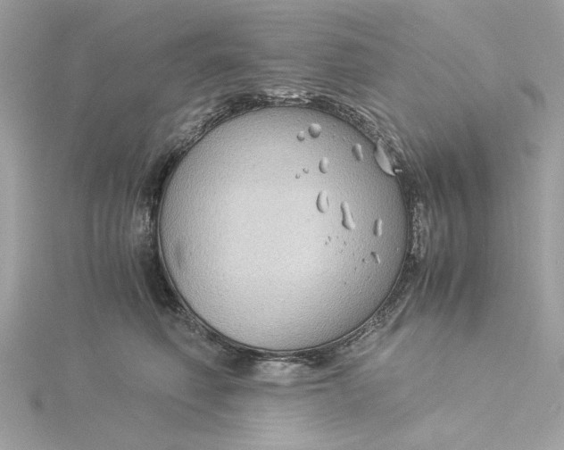 X0000116060614200912041855