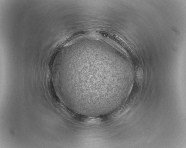 X0000116060617200912041855