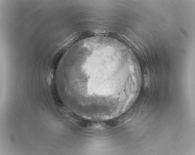 X0000116060618200912041855