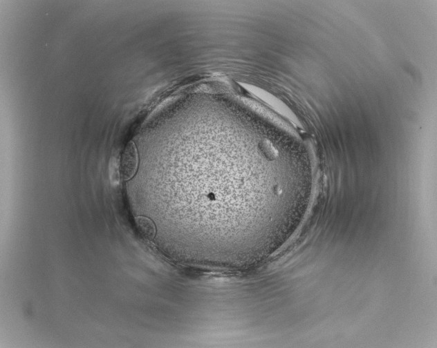 X0000116060620200912041855