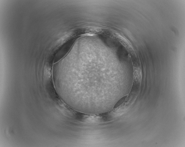 X0000116060621200912041855