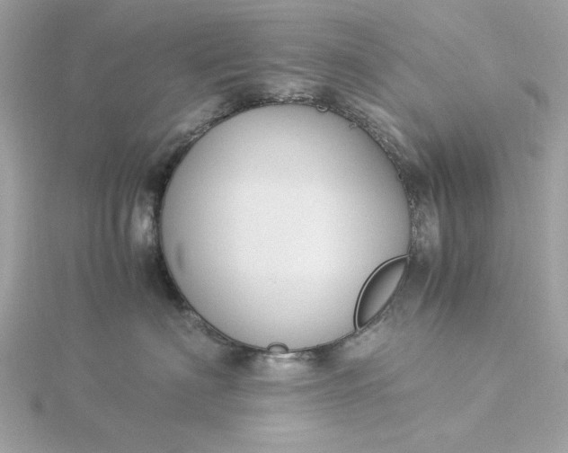 X0000116060622200912041855