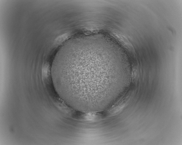 X0000116060623200912041855