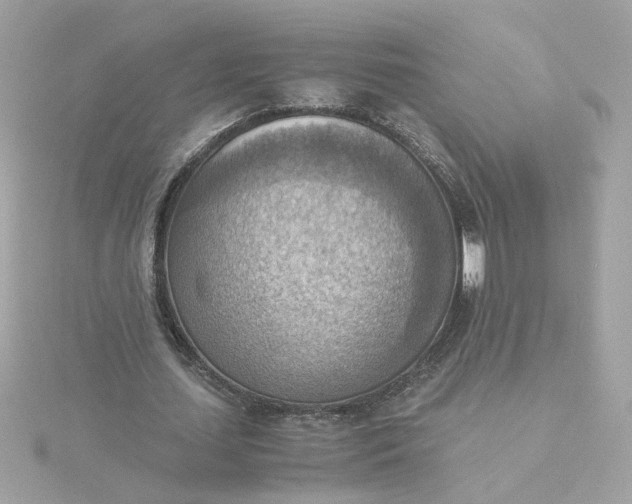 X0000116060627200912041854