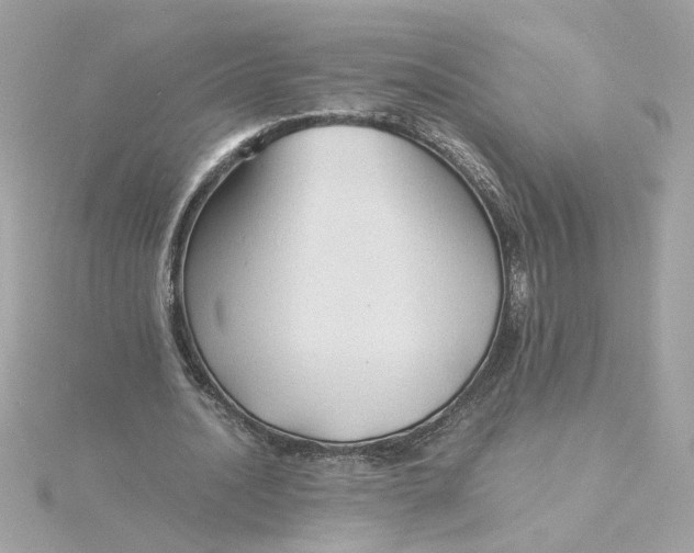 X0000116060628200912041854