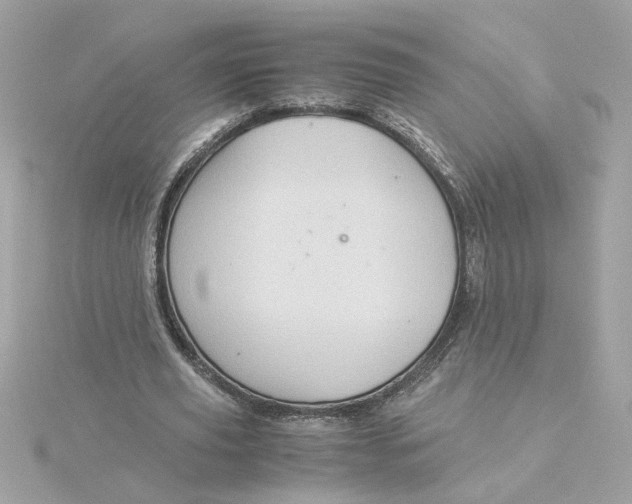 X0000116060629200912041854