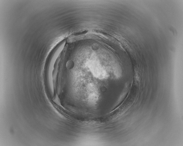 X0000116060630200912041854