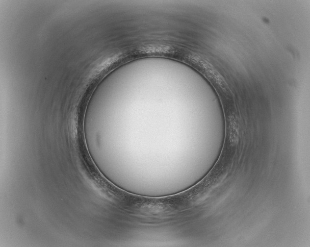 X0000116060631200912041854