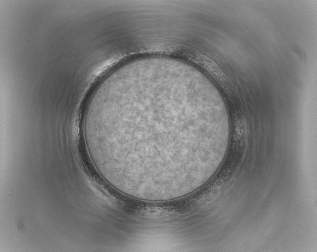 X0000116060632200912041854