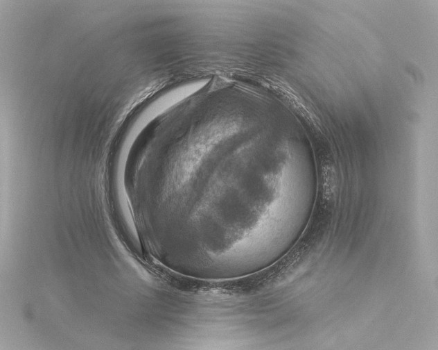 X0000116060634200912041854