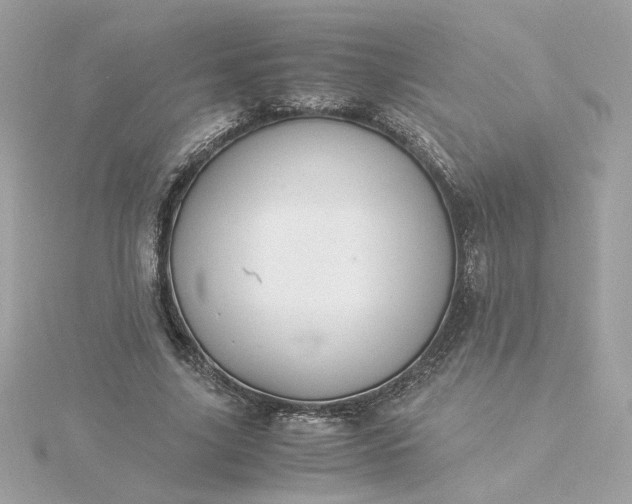 X0000116060635200912041854