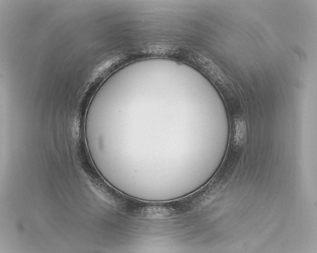 X0000116060636200912041854