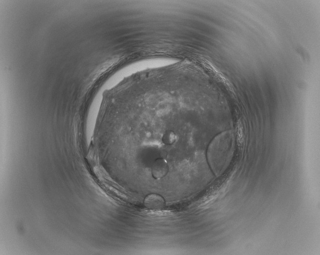 X0000116060637200912041854