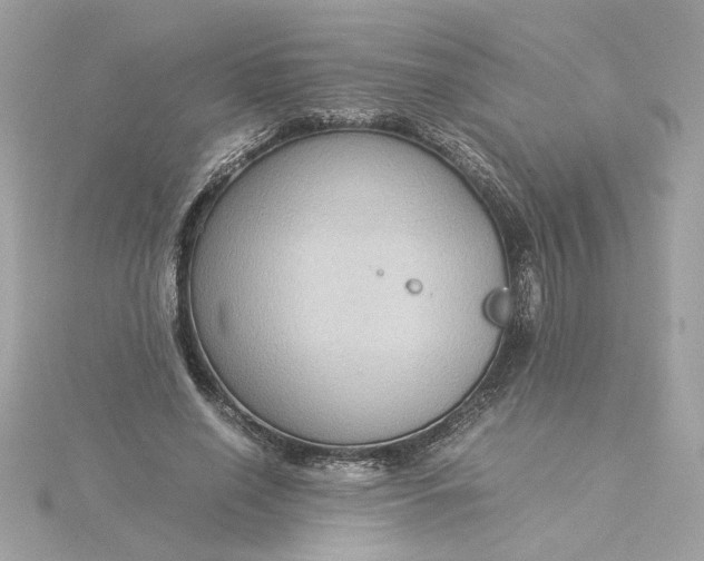 X0000116060638200912041854