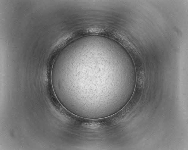 X0000116060639200912041854