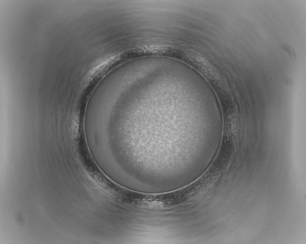 X0000116060640200912041854