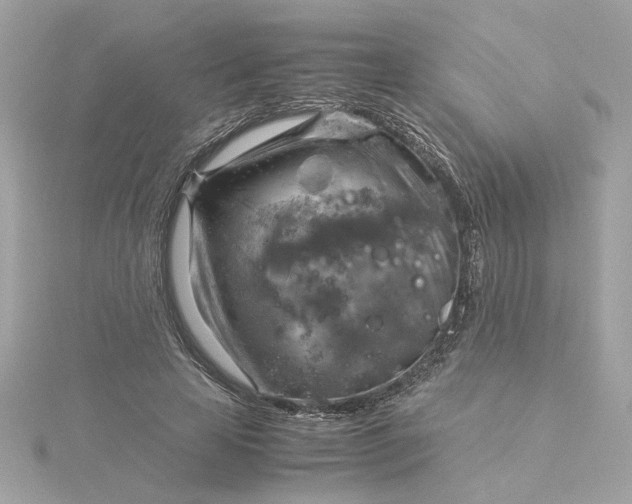 X0000116060641200912041854