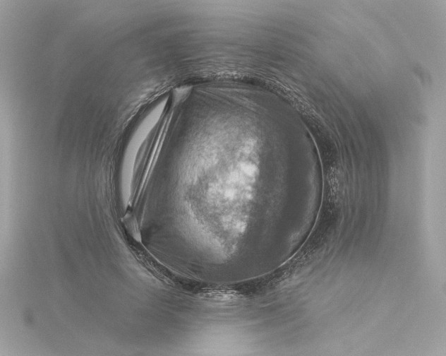 X0000116060642200912041854