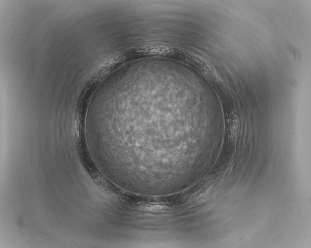 X0000116060643200912041854