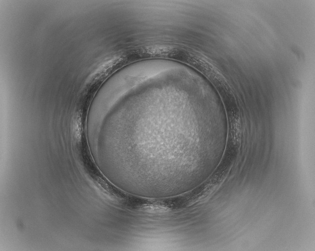 X0000116060644200912041854