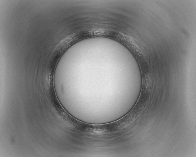 X0000116060645200912041854