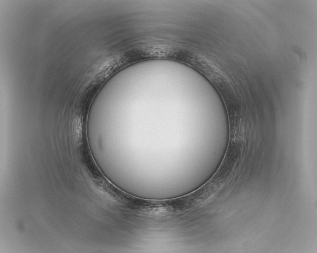 X0000116060646200912041854