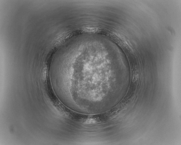 X0000116060647200912041854