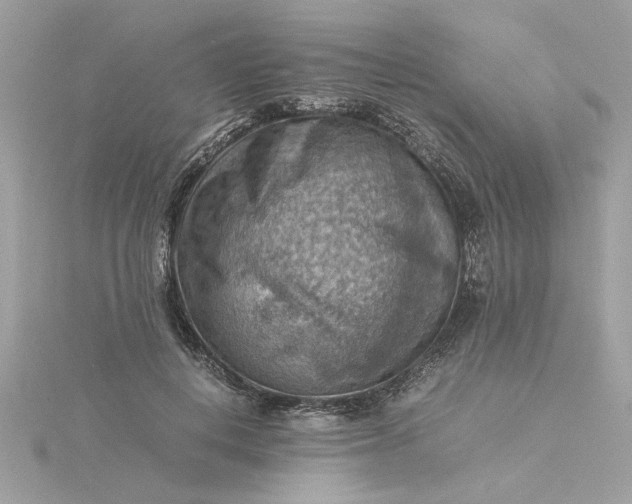 X0000116060648200912041854