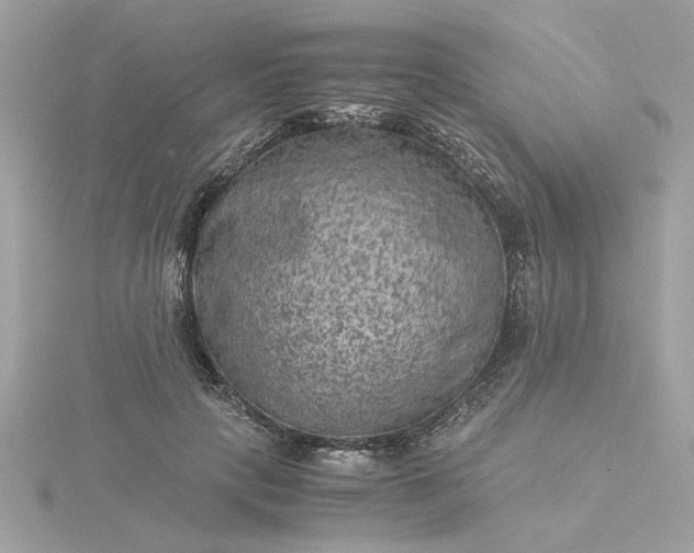 X0000116060649200912041854