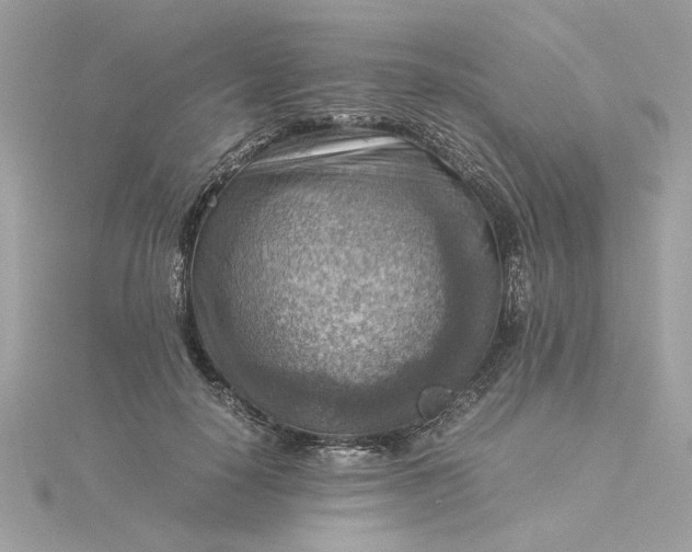 X0000116060650200912041855