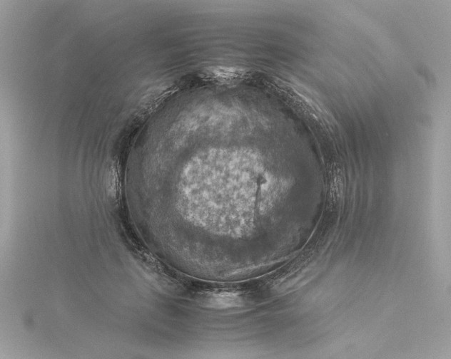 X0000116060651200912041855