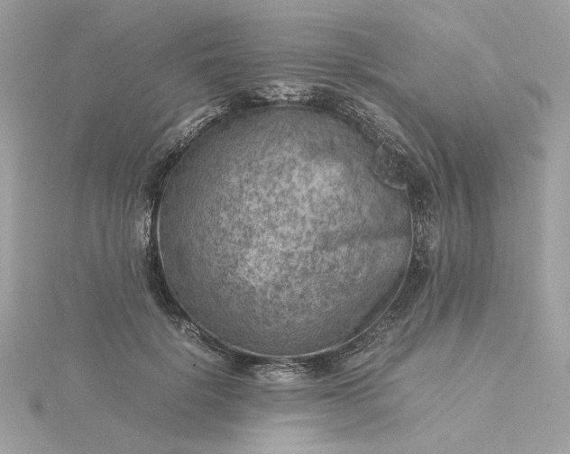 X0000116060652200912041855