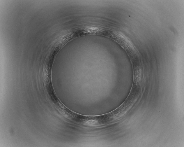 X0000116060653200912041855