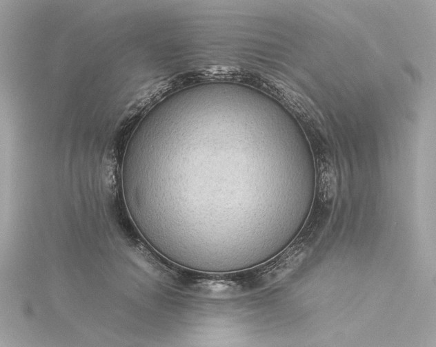 X0000116060654200912041855