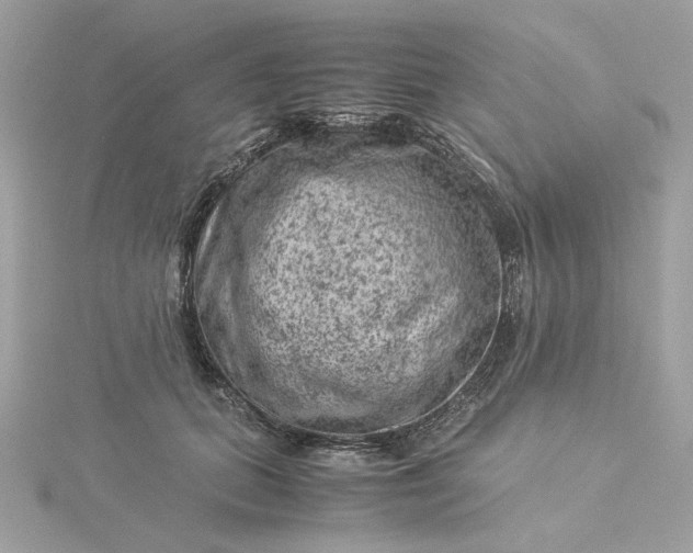 X0000116060655200912041855