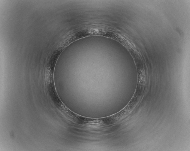 X0000116060659200912041855