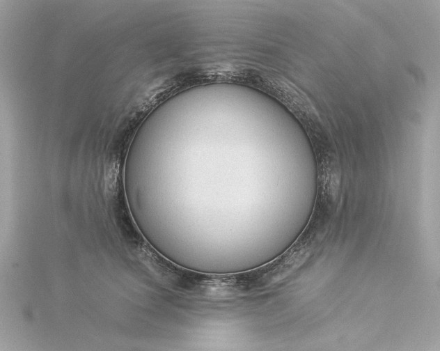 X0000116060660200912041855