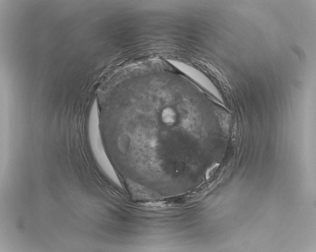 X0000116060661200912041855