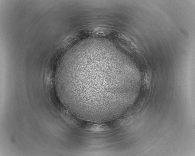 X0000116060663200912041855