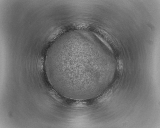 X0000116060664200912041855