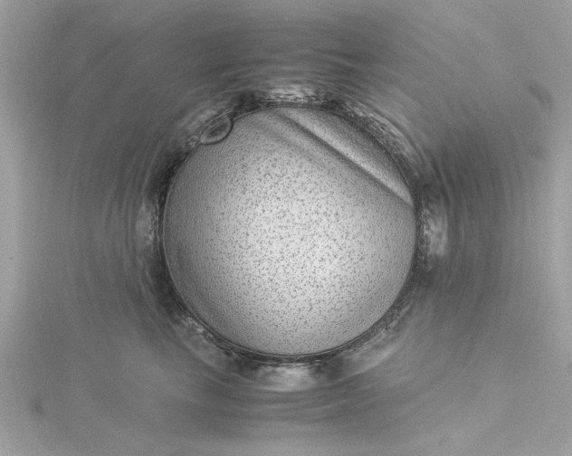 X0000116060665200912041855