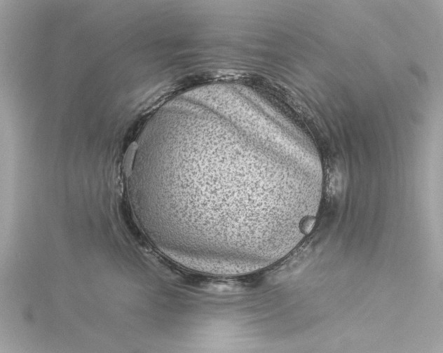 X0000116060666200912041855